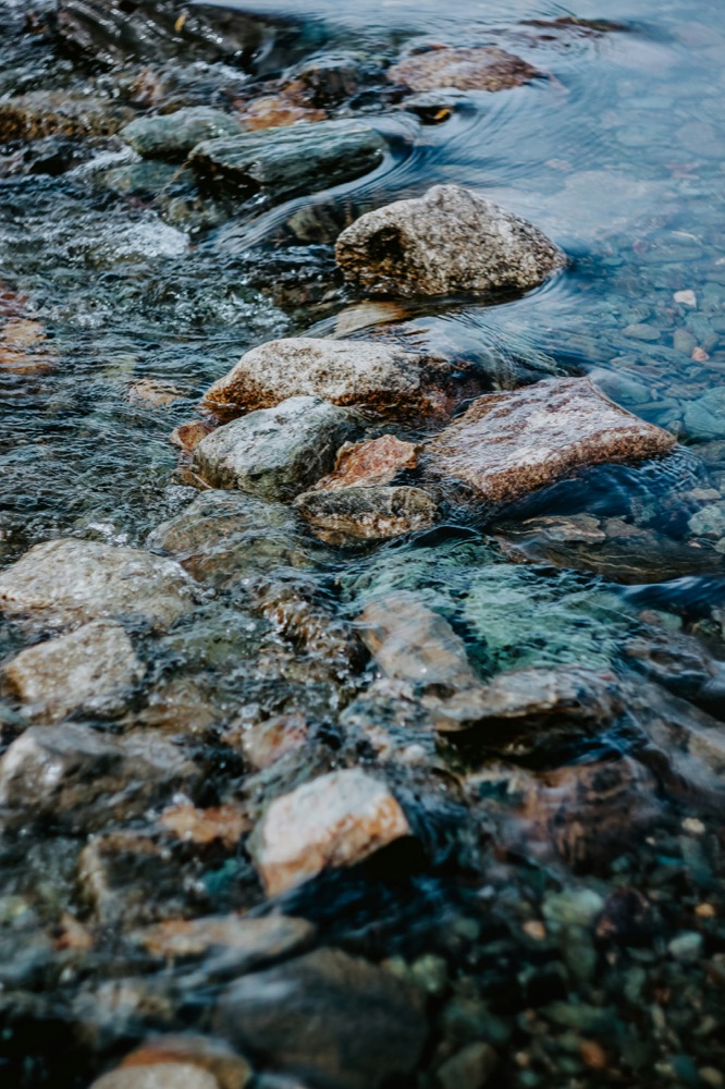 Plunge
